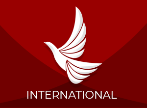 International Commercial Flight Image